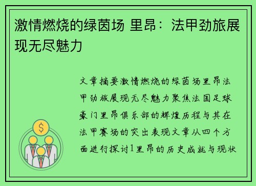 激情燃烧的绿茵场 里昂:法甲劲旅展现无尽魅力 激情燃烧的绿茵场 里昂:法甲劲旅展现无尽魅力