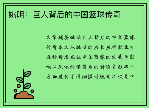姚明:巨人背后的中国篮球传奇 姚明:巨人背后的中国篮球传奇